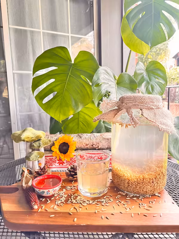 Living Oat Elixir -