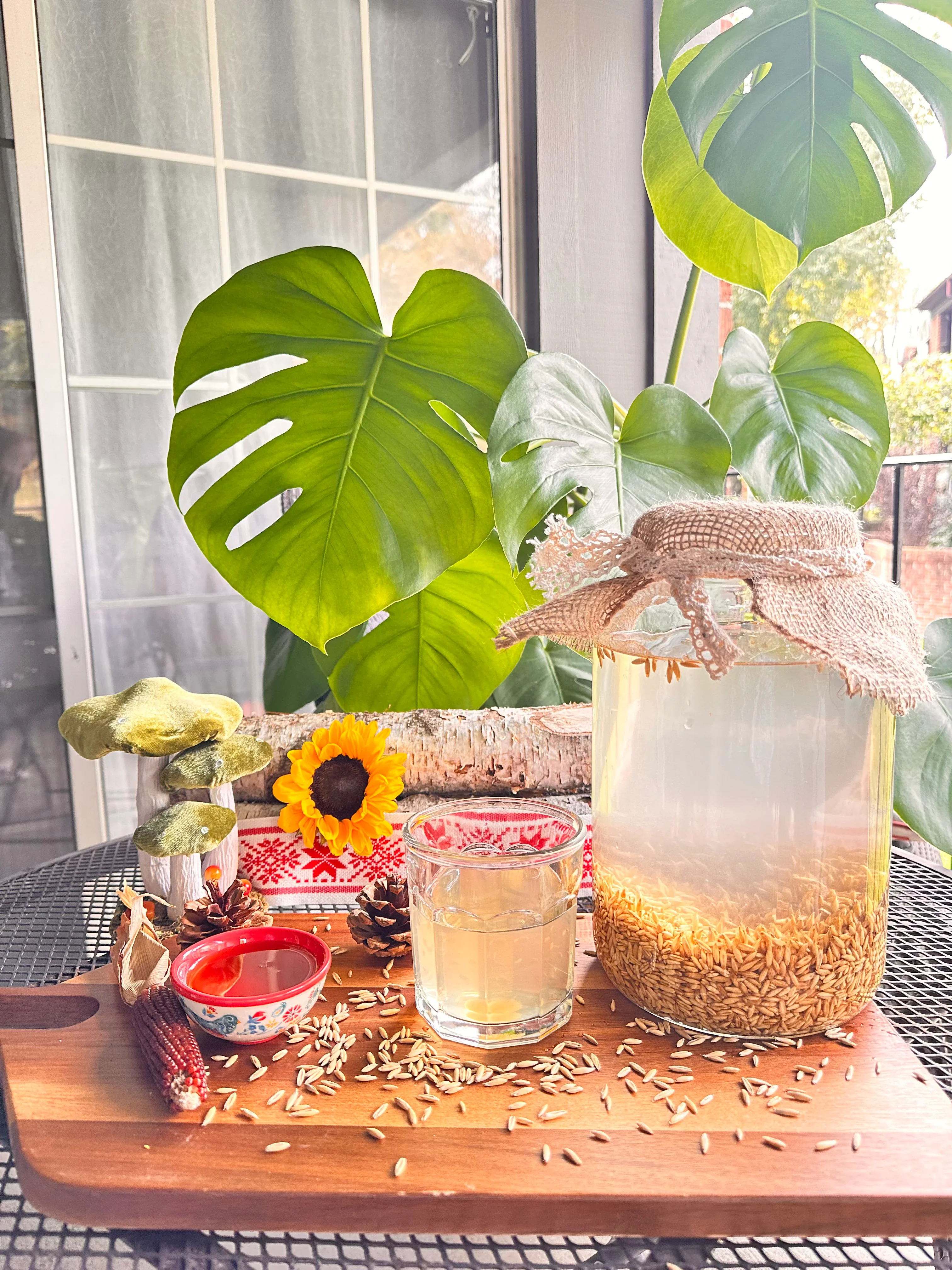 Living Oat Elixir –